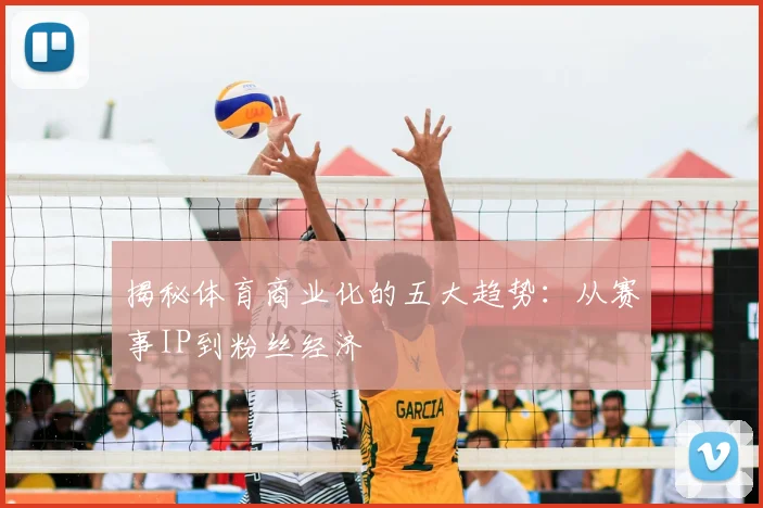揭秘体育商业化的五大趋势：从赛事IP到粉丝经济
